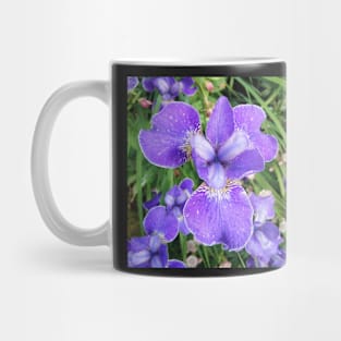 Purple Iris Mug